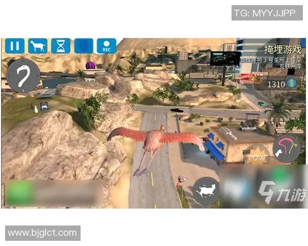 陈敏独家分享王者荣耀游戏心得与技巧助你快速提升实力